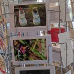 Eine große Auswal an Karten Fotos
